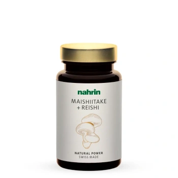 Maishiitake+reishi.png.webp