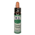 Dr. Bach Recovery Remedy - 10ml