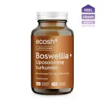 BOSWELLIA + LIPOSOOMNE KURKUMIIN – viiruk, valud, liigesed, moodustised 60 kpl Ecosh Toidulisand